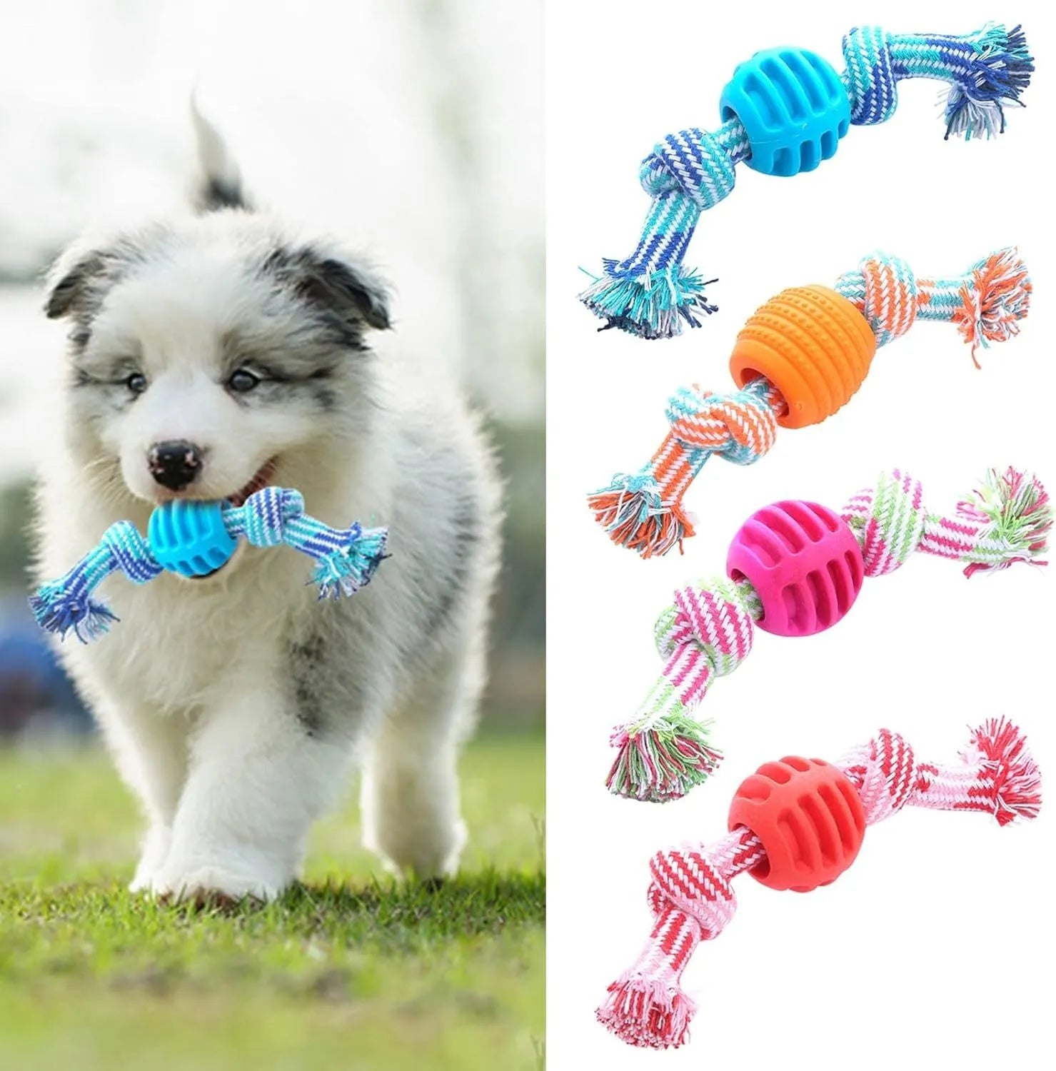 Blue dog chew toy with molar shape and attached rope for dental care.