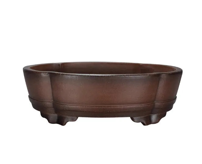 Classical purple clay flower pot for gardening with green plant old pile finish