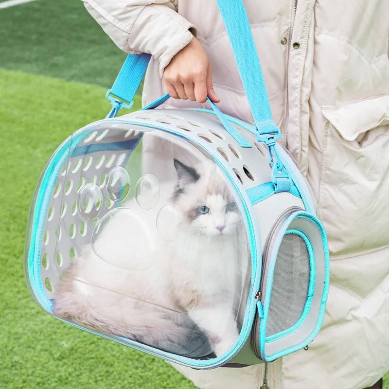 Hard-shell transparent cat carrier backpack in grass green colour, showing large space capsule design.