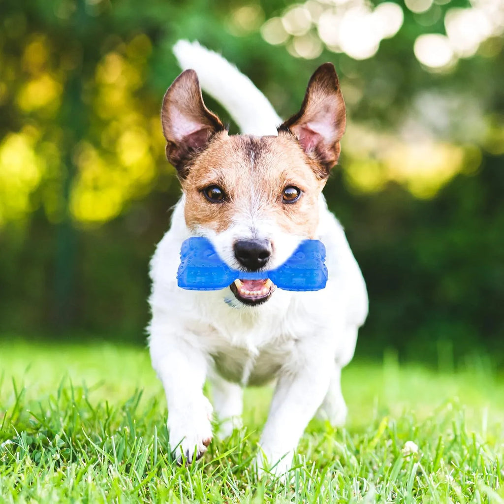 Freezable dog teething toy in bones and circles shapes with treat pocket