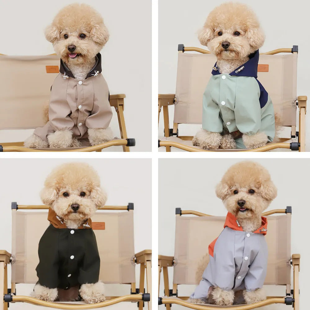 British style green waterproof dog jacket on a small sized pet