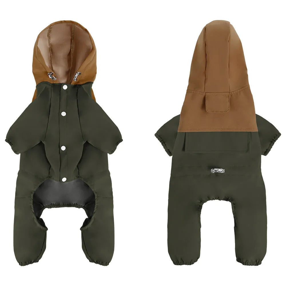 British style green waterproof dog jacket on a small sized pet