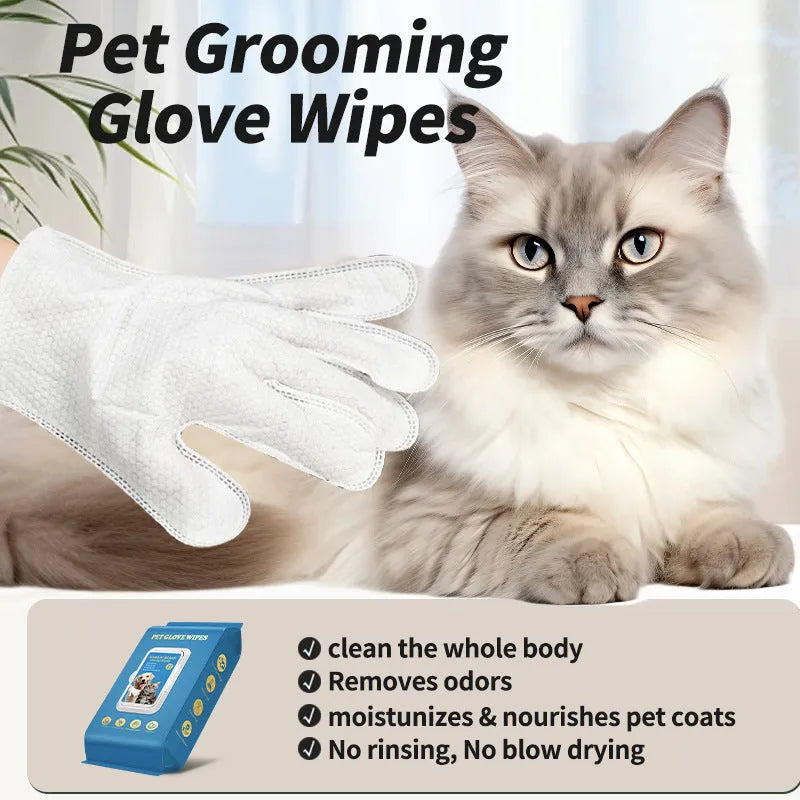 Pack of pet disposable gloves for cat bath and cleaning tasks