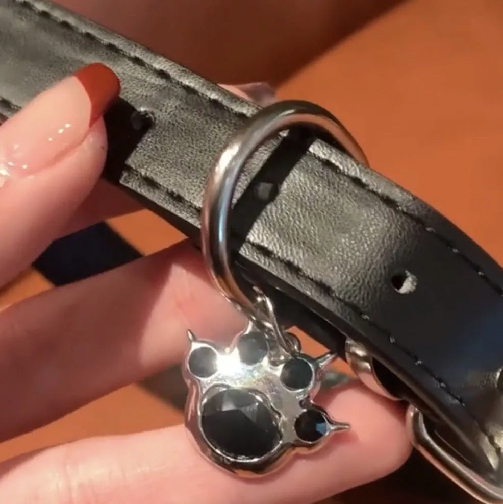 Black leather dog collar with regular chain closure, adjustable from 21cm to 50cm, available in cat paw or bone designs.
