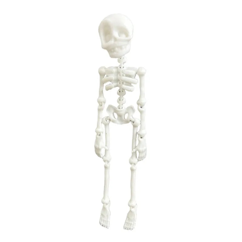 3D printed skull refrigerator magnet Halloween decoration in multiple colour options