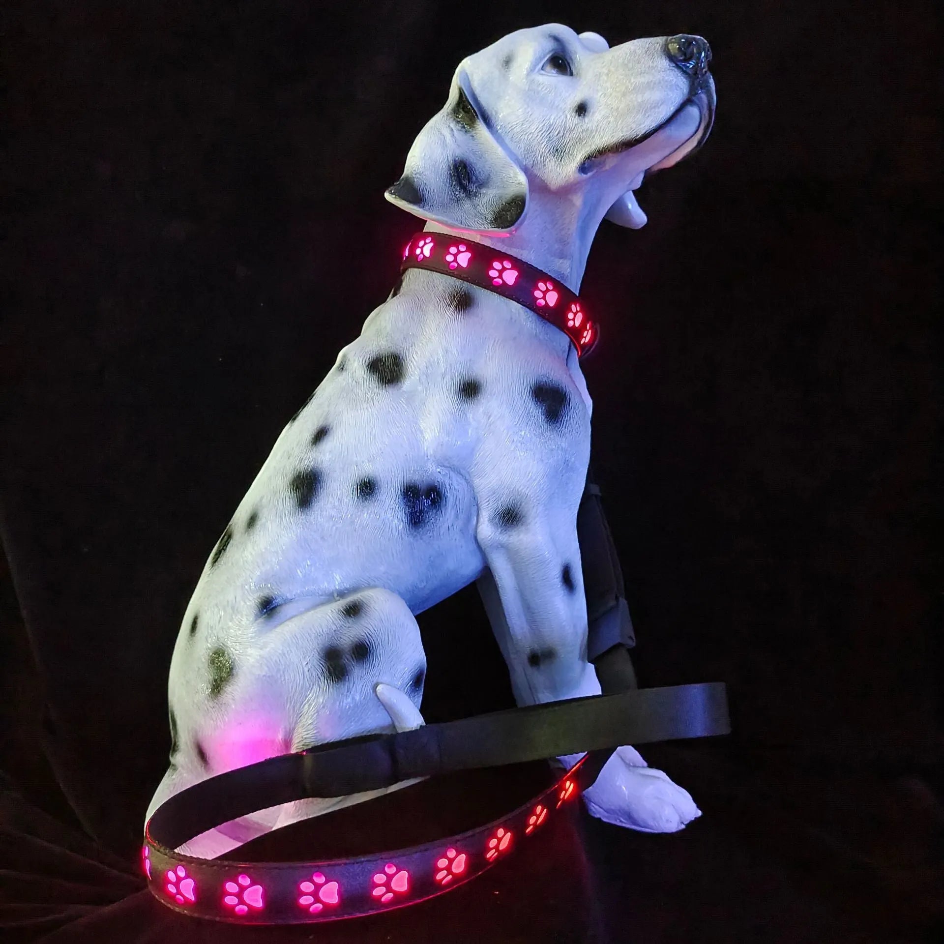 USB rechargeable LED pet collar showing seven colour modes with paw print design on adjustable polyester band