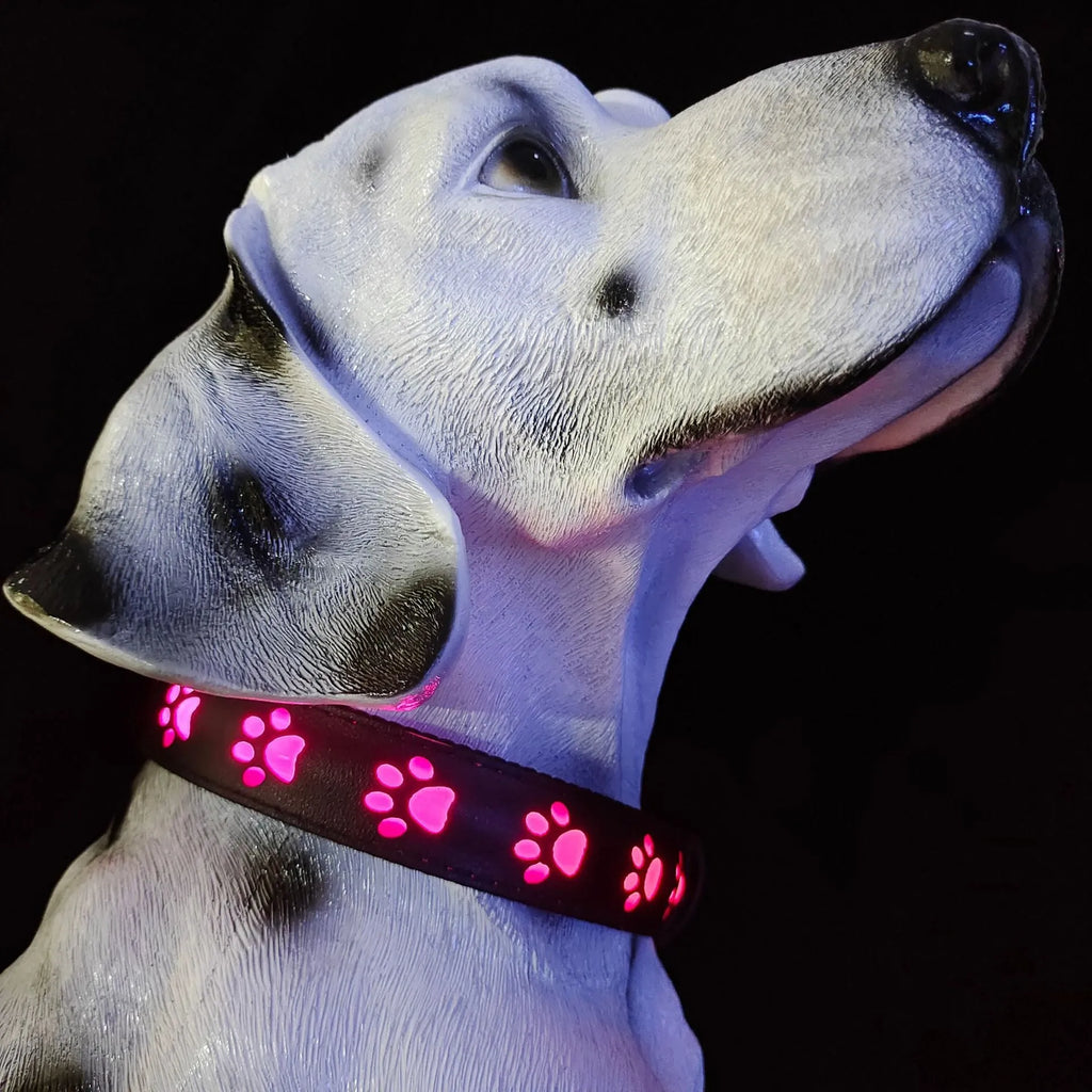 USB rechargeable LED pet collar showing seven colour modes with paw print design on adjustable polyester band