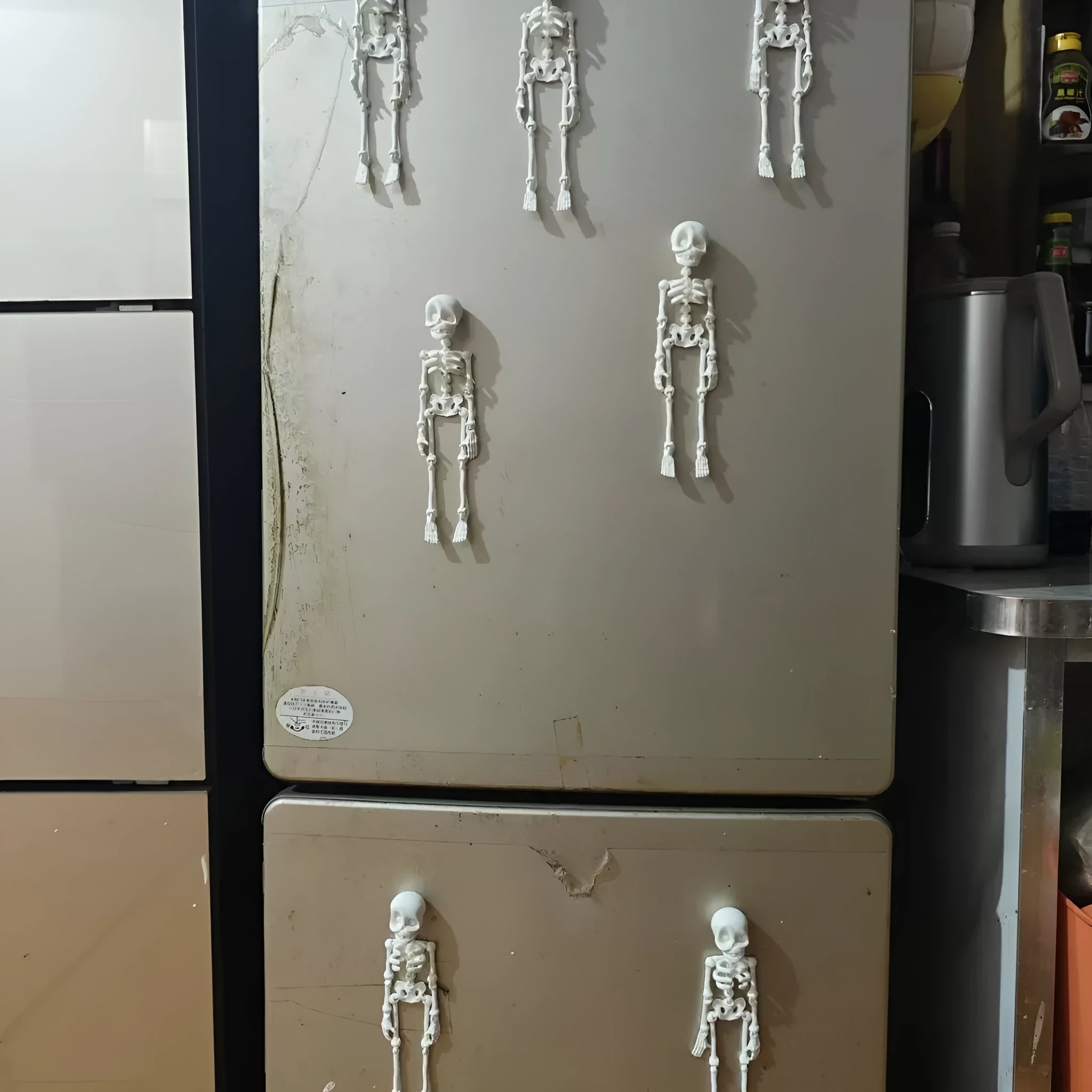 3D printed skull refrigerator magnet Halloween decoration in multiple colour options