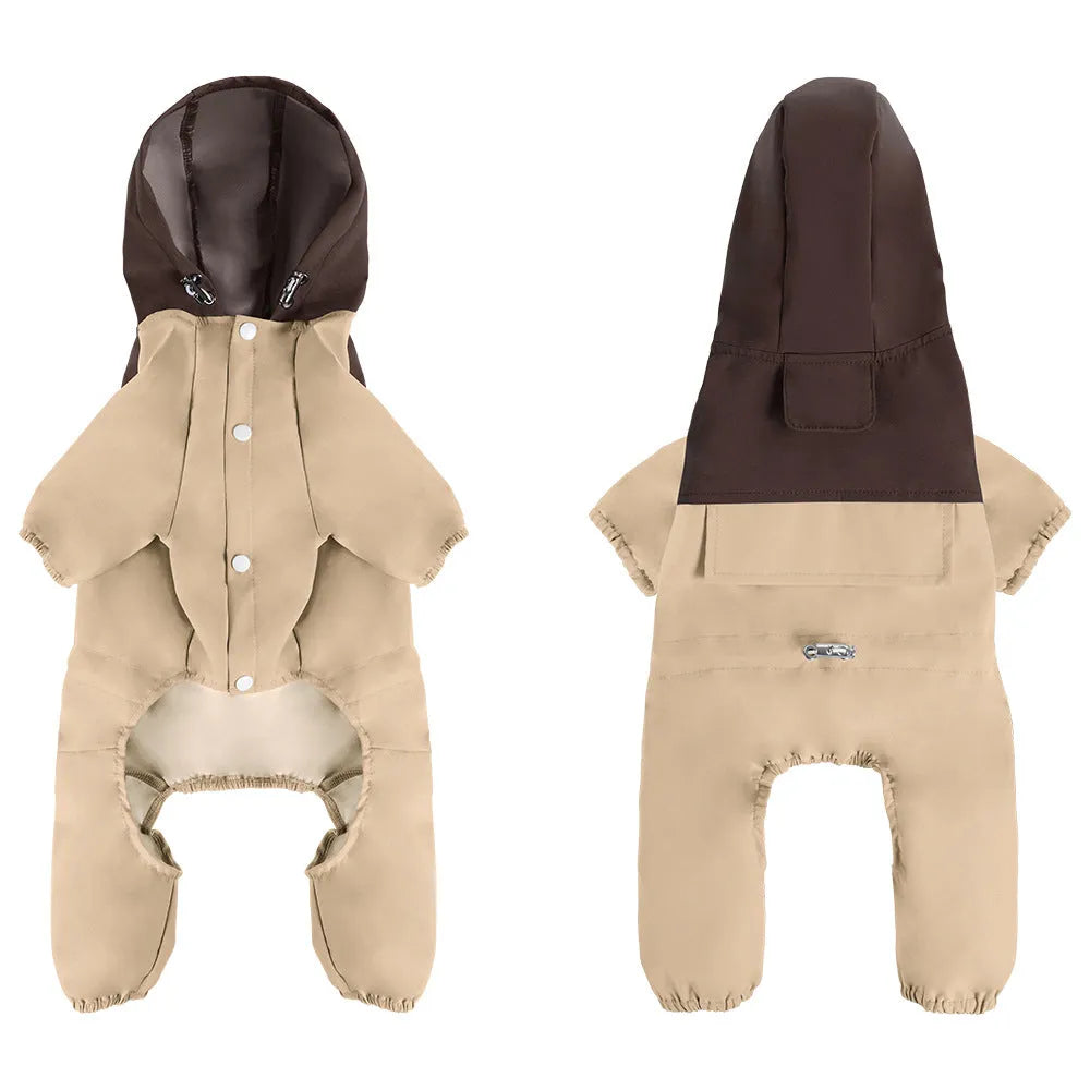 British style green waterproof dog jacket on a small sized pet