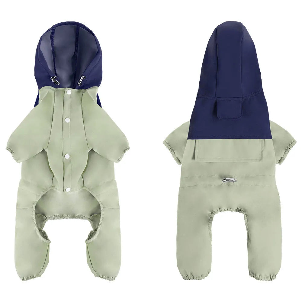 British style green waterproof dog jacket on a small sized pet