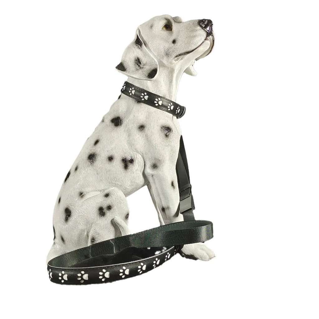 USB rechargeable LED pet collar showing seven colour modes with paw print design on adjustable polyester band