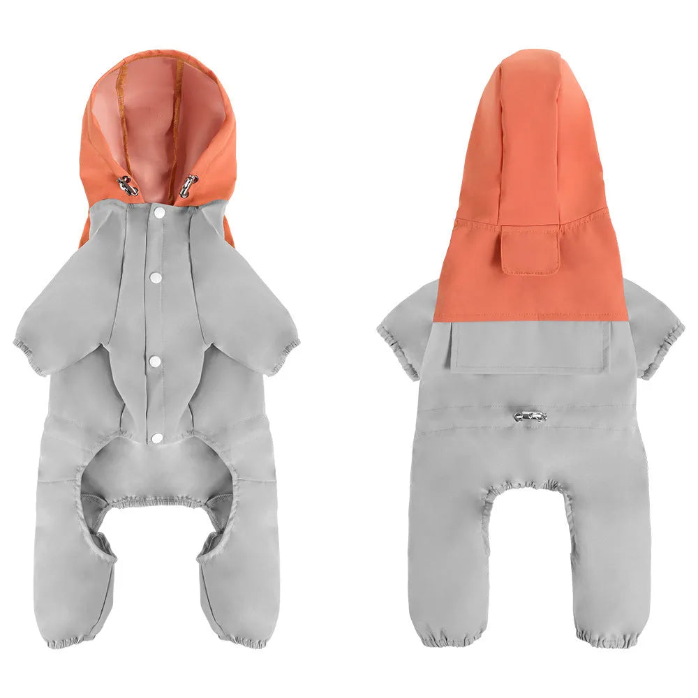 British style green waterproof dog jacket on a small sized pet