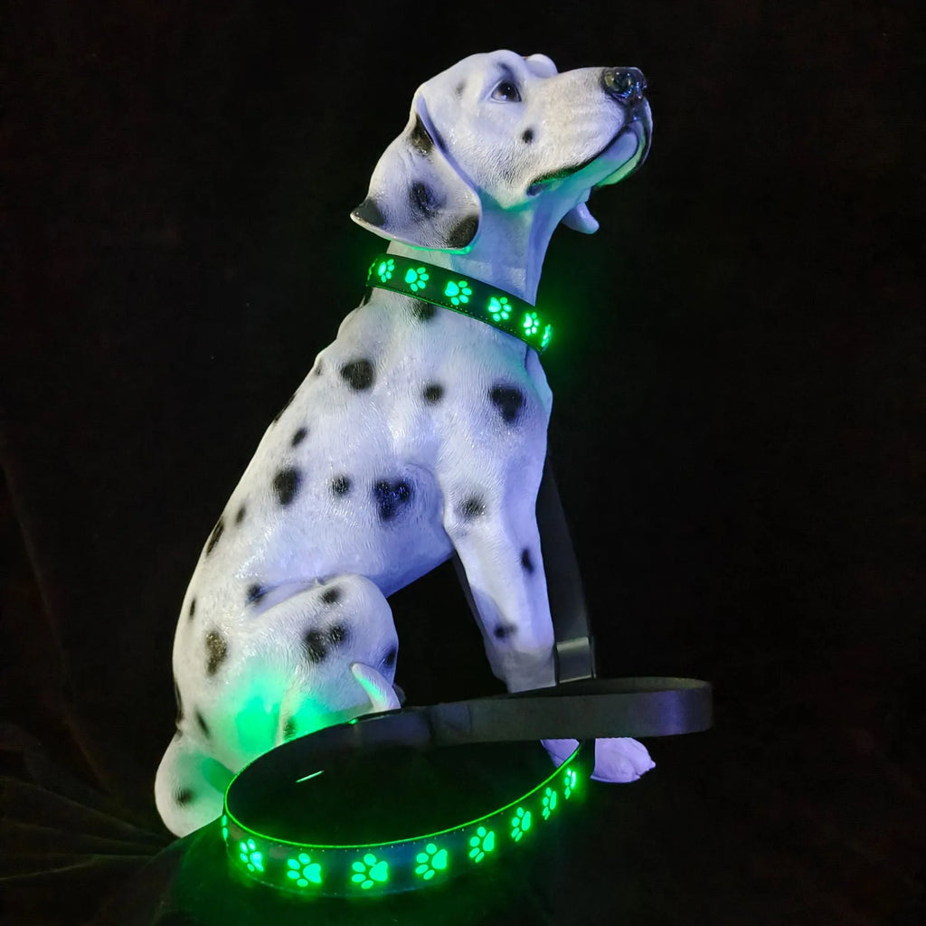 USB rechargeable LED pet collar showing seven colour modes with paw print design on adjustable polyester band