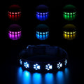 USB rechargeable LED pet collar showing seven colour modes with paw print design on adjustable polyester band