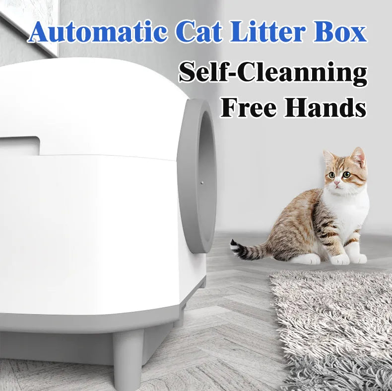 White automatic cat litter box with enclosed design measuring 556mm long by 512mm wide
