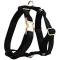 Cloth dog harness set with leash, red bow tie, and blue reflective safety vest laid out on a white background.