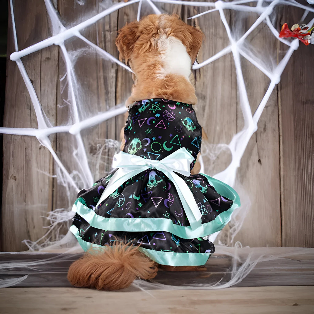 Halloween pet skirt for dogs with colourful pumpkin pattern and double-layer construction