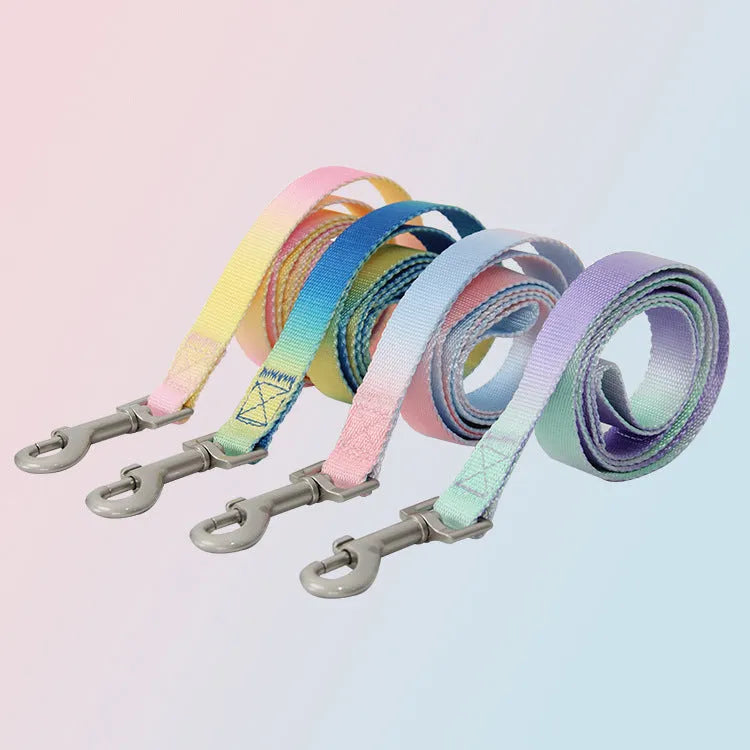 Gradient colour nylon pet leash set with dog collar and lead in pink blue yellow purple green combinations