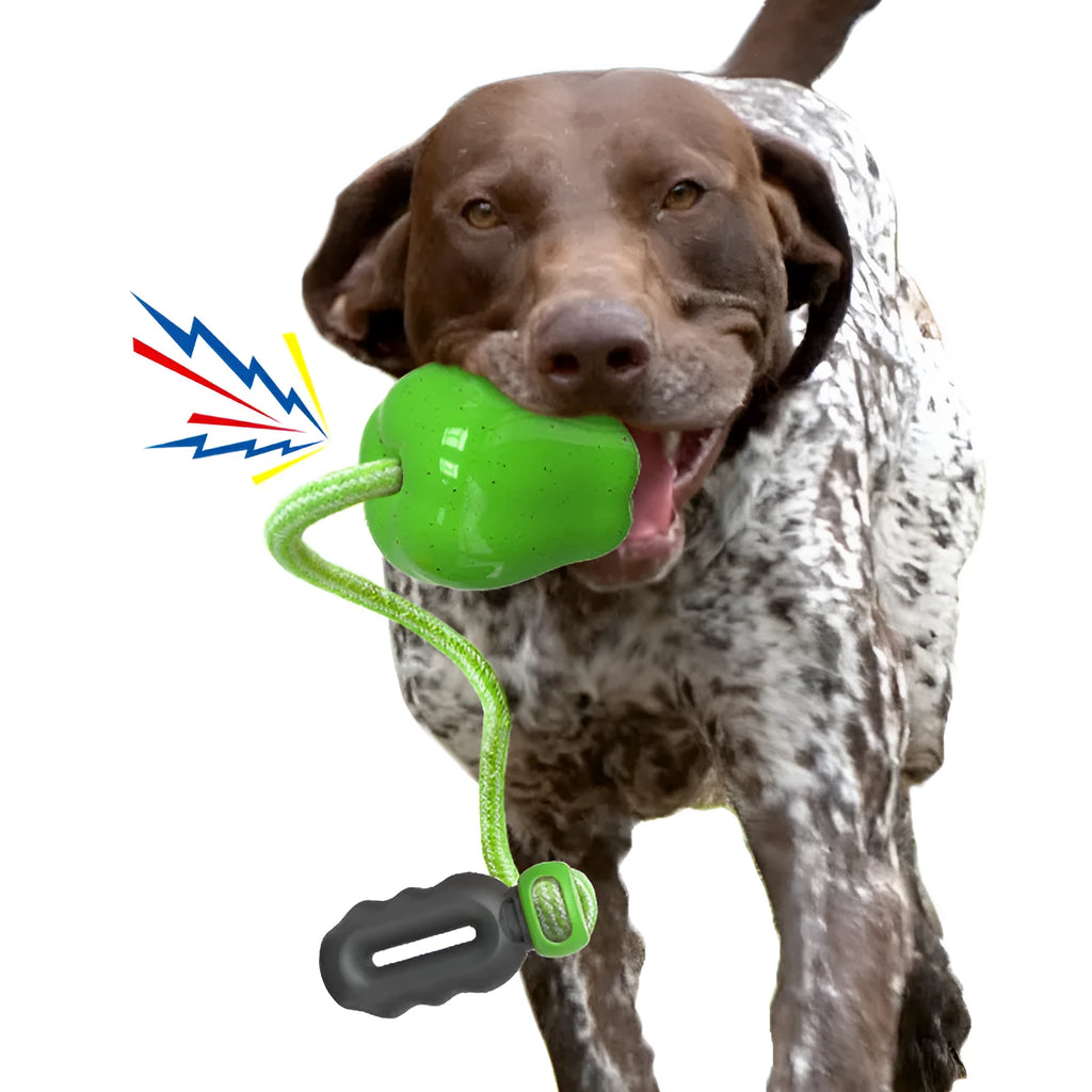 Green plastic dog toy with food dropping ball and molar shape for outdoor play