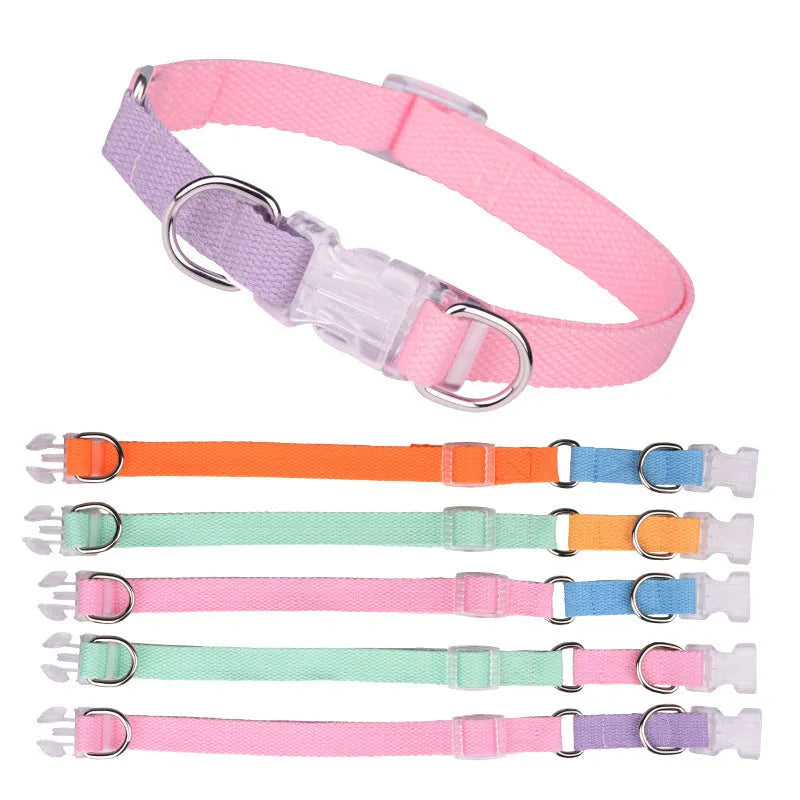 Polyester ribbon dog collar set with matching lead and chest strap in assorted colour combinations