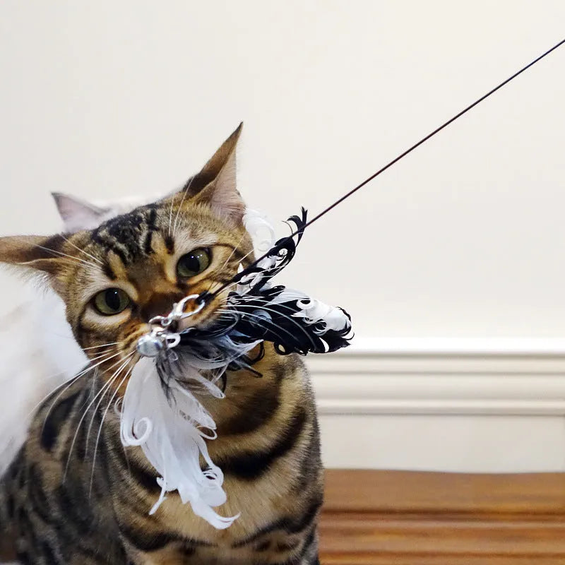 Black cat toy stick with bird feather wire end measuring half a metre in length
