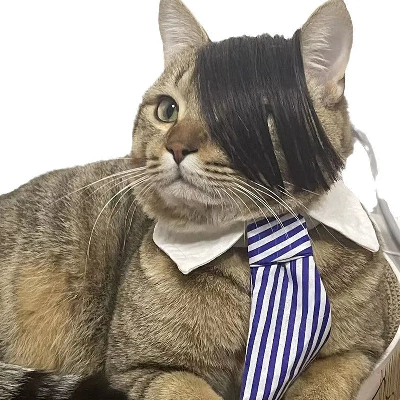 Black polyester cat wig with imitation braid design for feline dress-up and pet photography