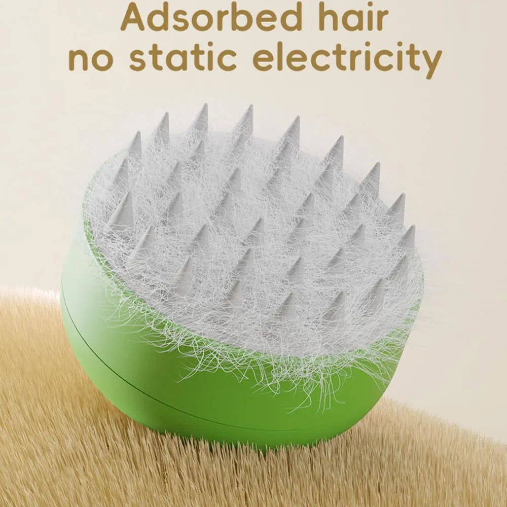 Green rechargeable cat steam brush with silicone bristles on a table.