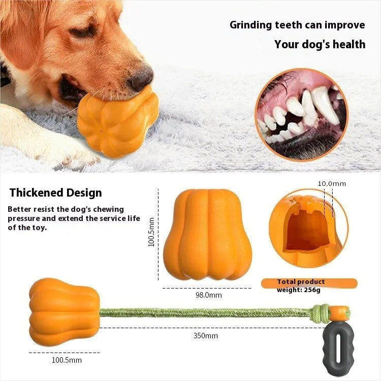 Orange plastic pumpkin-shaped dog toy with rope attached for throwing