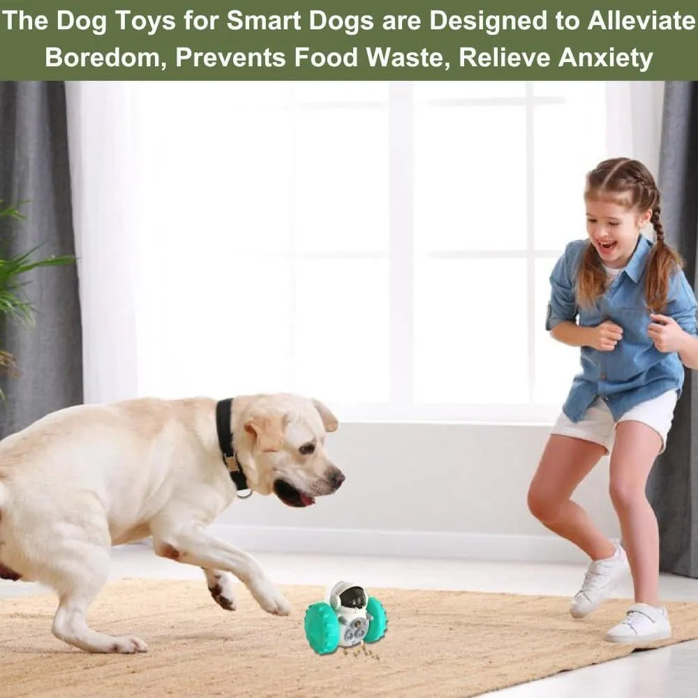 Self-balancing roller dog treat puzzle toy for small dogs and cats in assorted colours.