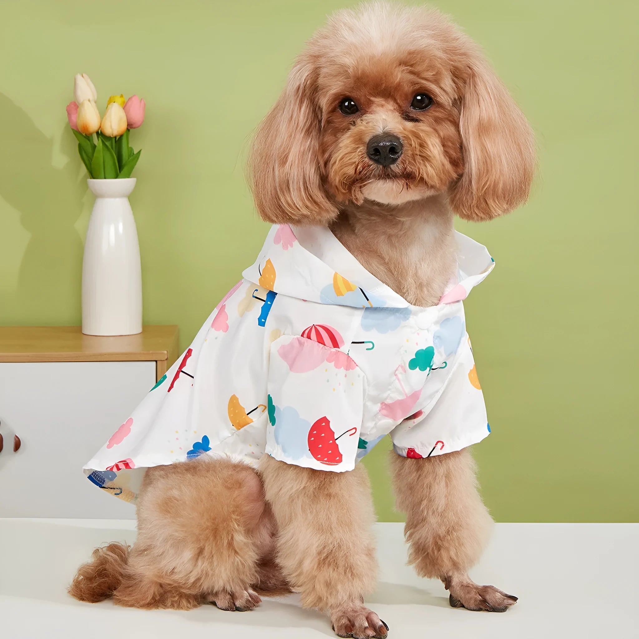 Colourful cartoon umbrella pattern dog raincoat in polyester fabric