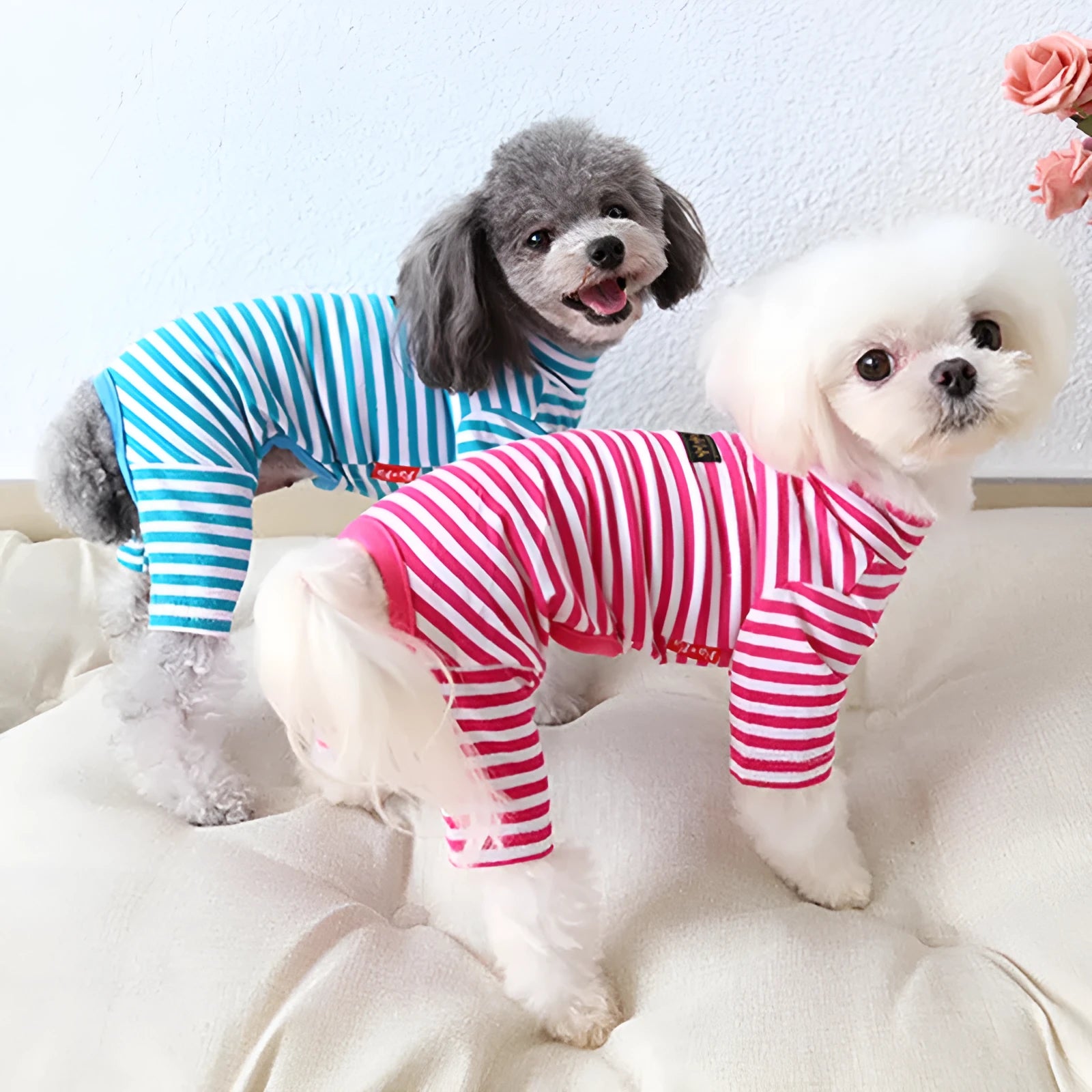 Cotton eight-color striped pet leggings for dogs and cats in black, blue, red, and green tones