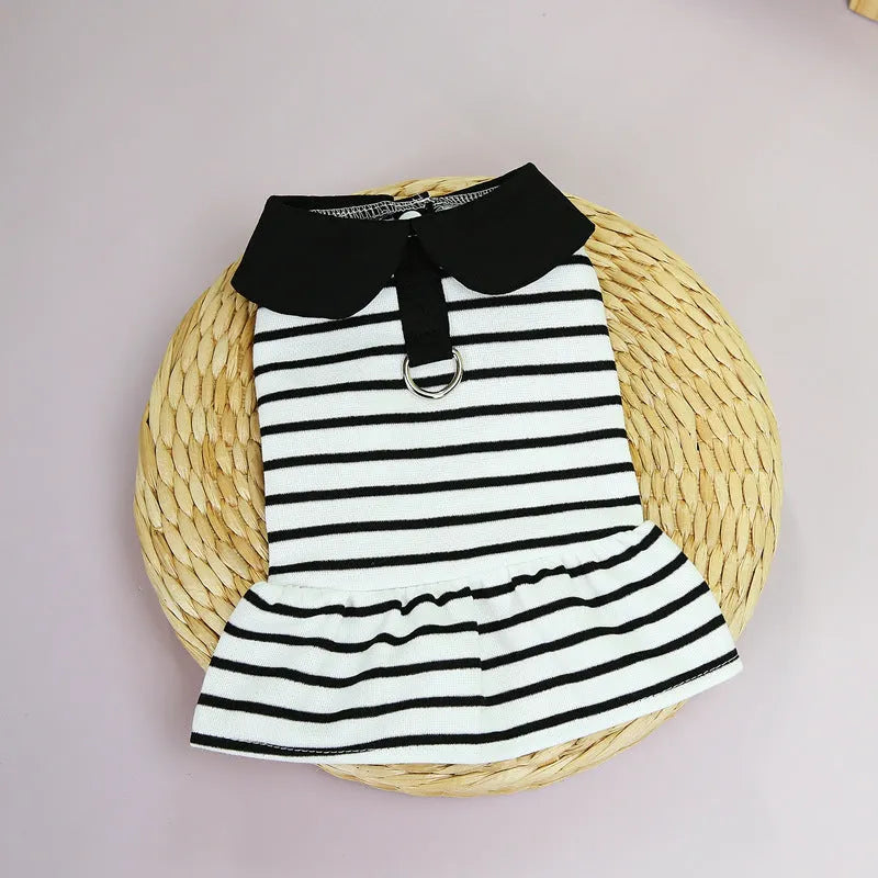 Pet wearing striped cotton T-shirt and matching skirt summer outfit
