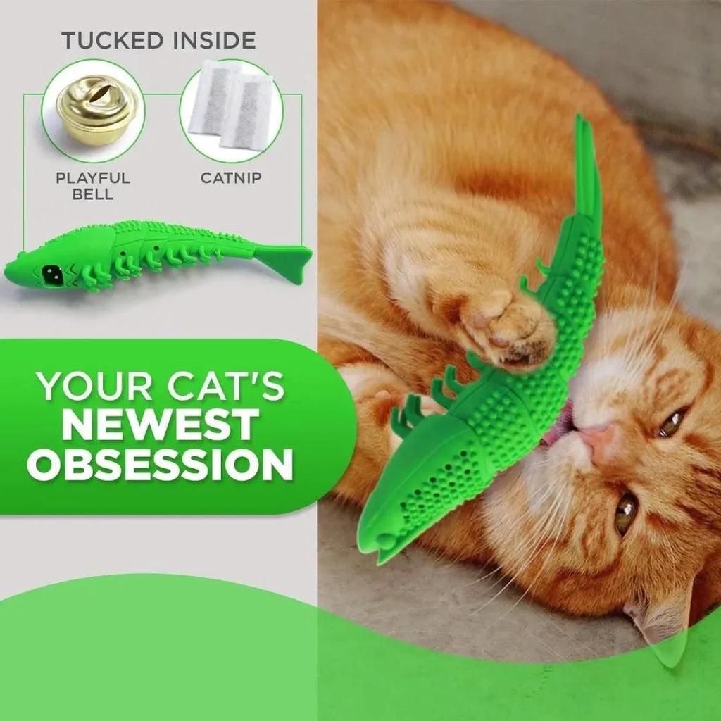 Blue hard rubber cat toy with teeth cleaning texture containing catnip and bell