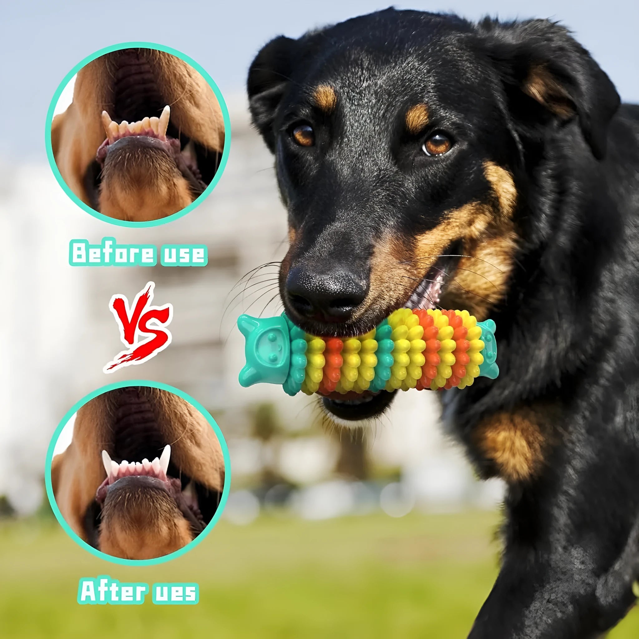 Blue rubber caterpillar-shaped dog chew toy for aggressive chewers on a white background.