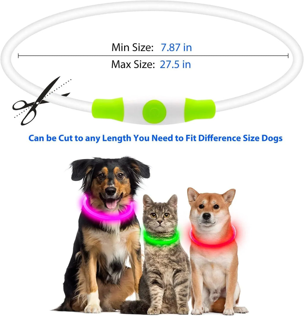 USB rechargeable LED dog safety collar with glowing light, adjustable 70cm TPU strap