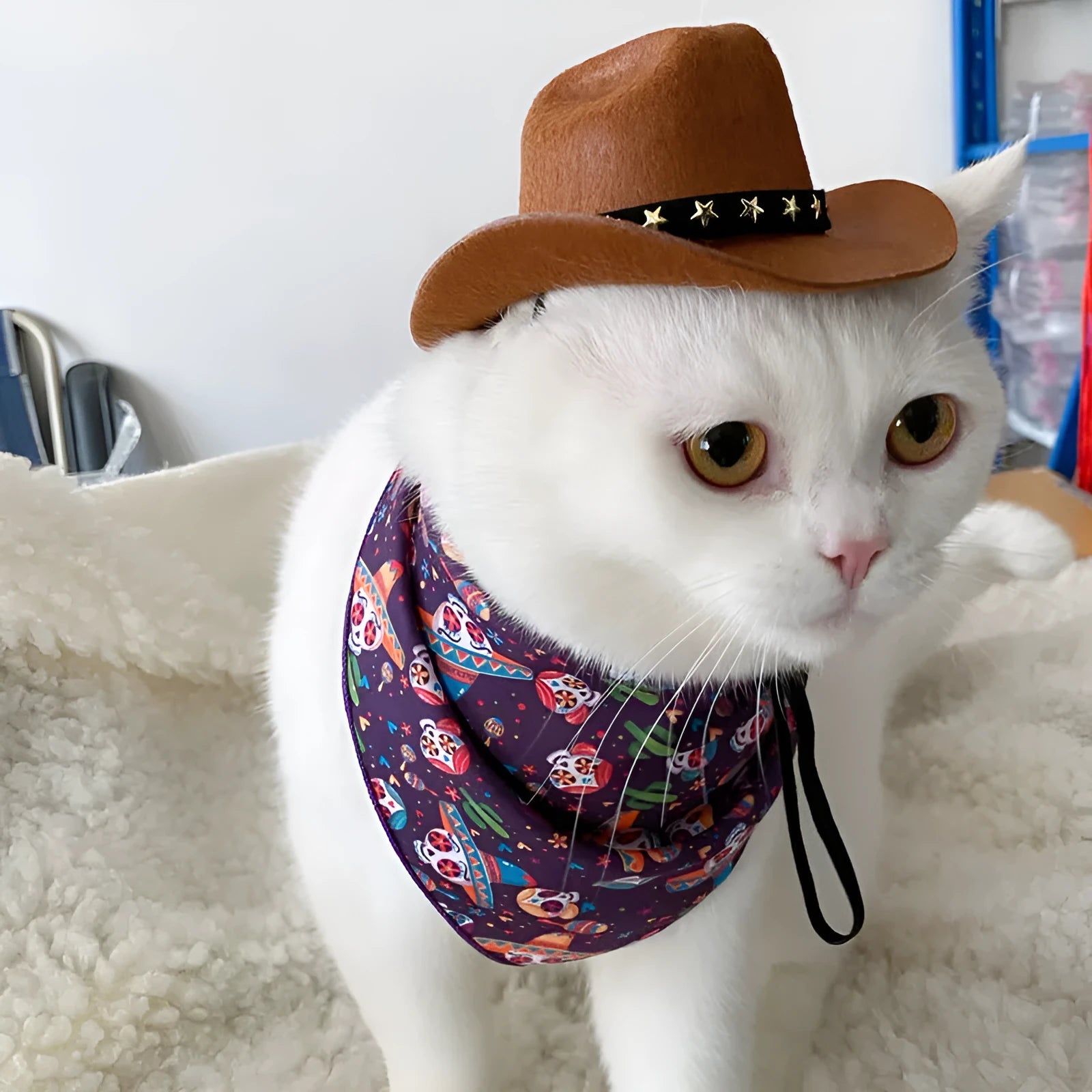 British-style brown non-woven fabric cowboy hat for a cat on a mannequin head.