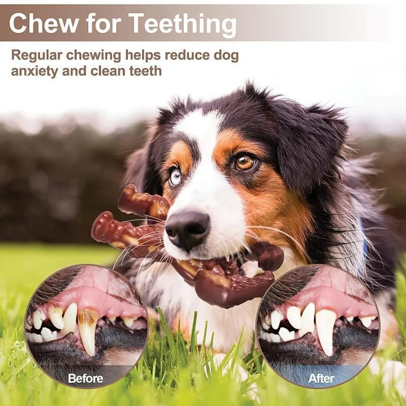 Scarlet nylon beef-flavour dog chew toy for molar nibbling measuring 10.7cm