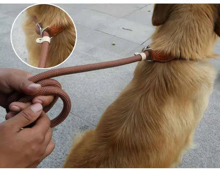 Brown dog leash with nylon P chain handle and rope section, 2.1 metres long