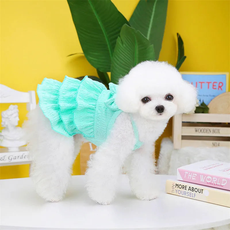 Small dog wearing a layered princess dress in a candy skirt style, available in rose red, yellow, or green.