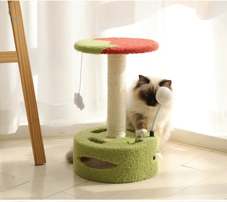 Kitten cat climbing frame with sisal scratching board and interactive play device, stable chassis