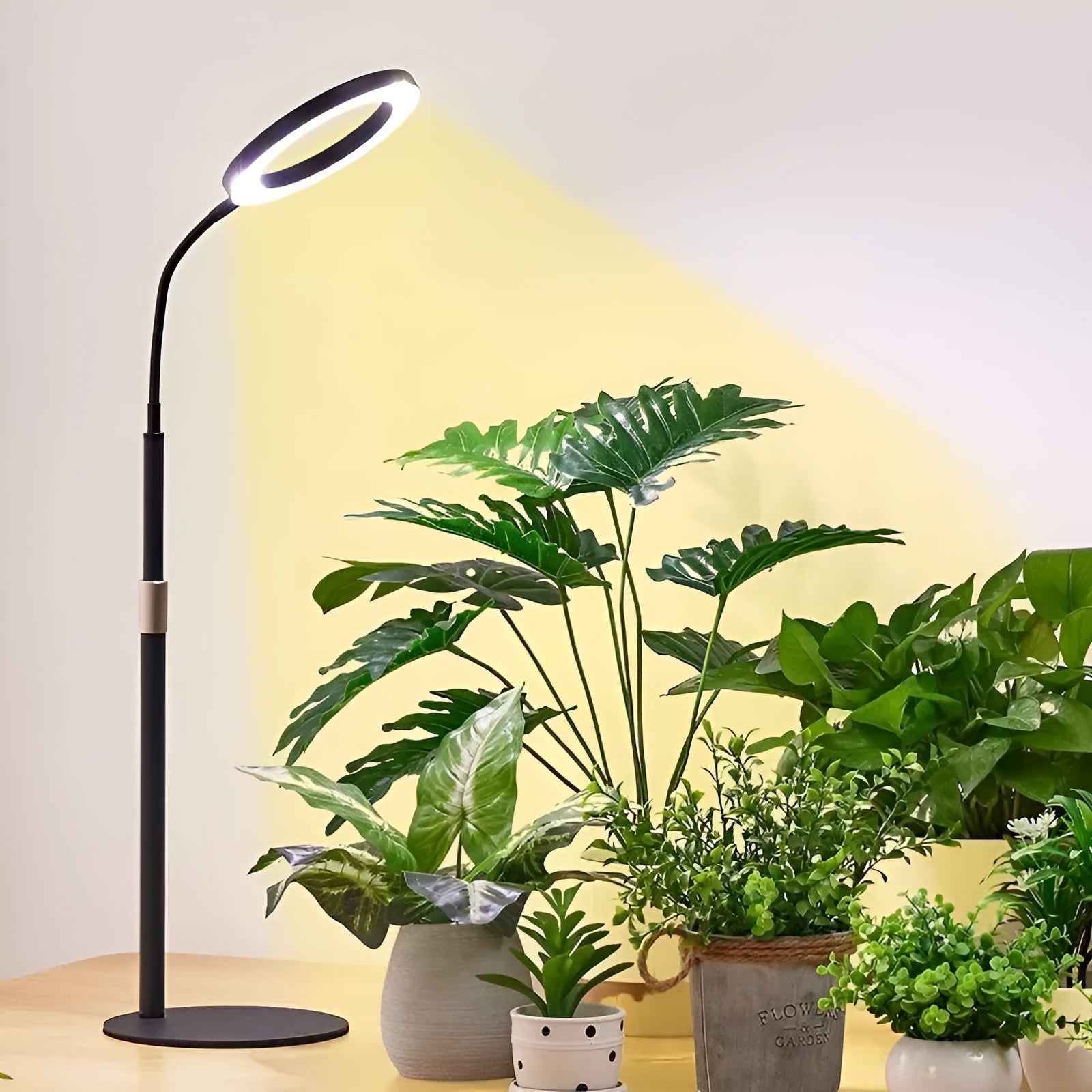 6-inch Angel Ring retractable floor plant grow light with aluminium alloy shell on a white background.