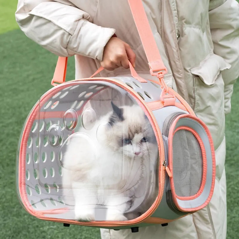Hard-shell transparent cat carrier backpack in grass green colour, showing large space capsule design.