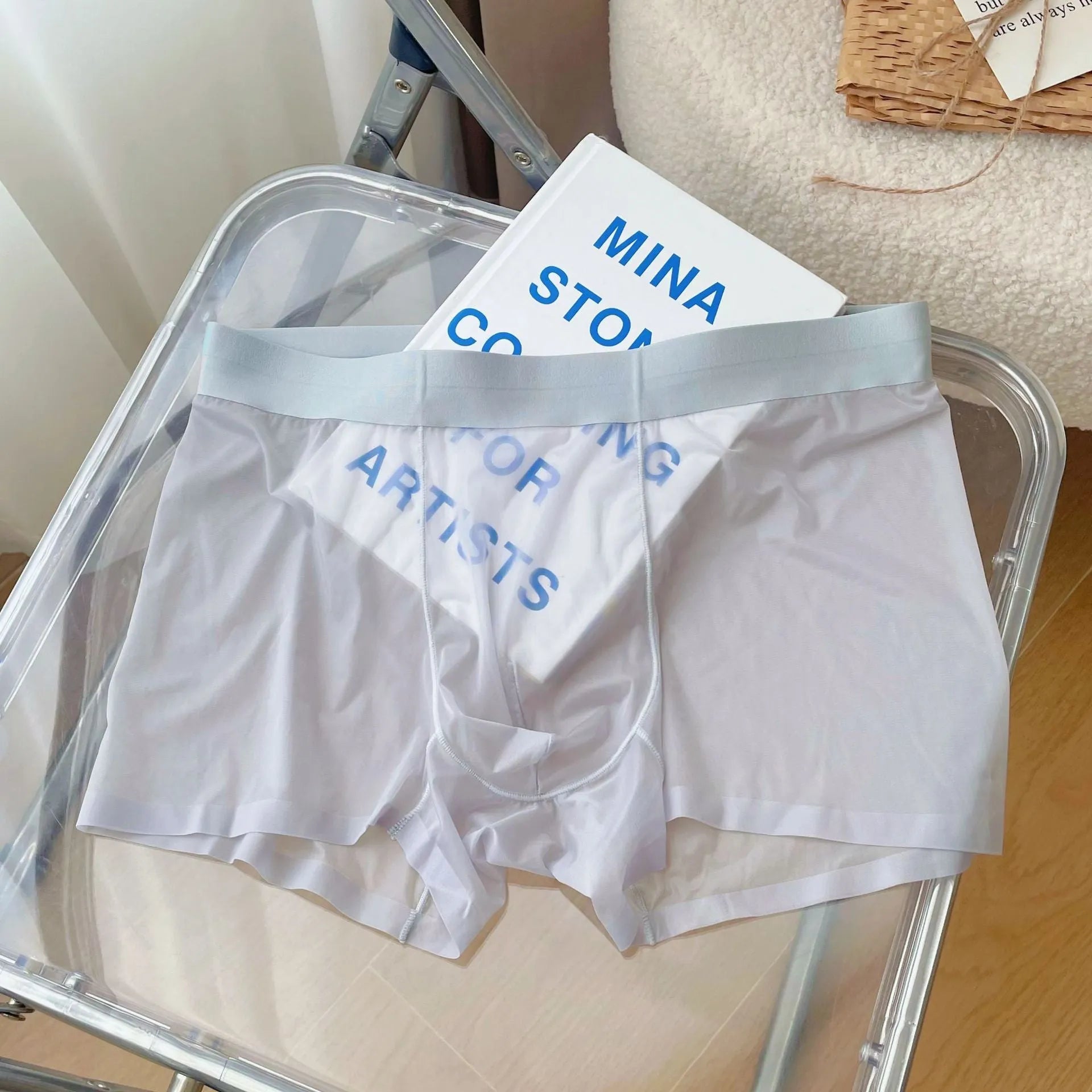 Men's thin nylon boxer shorts in rock ash colour, showing seamless construction and mid waist