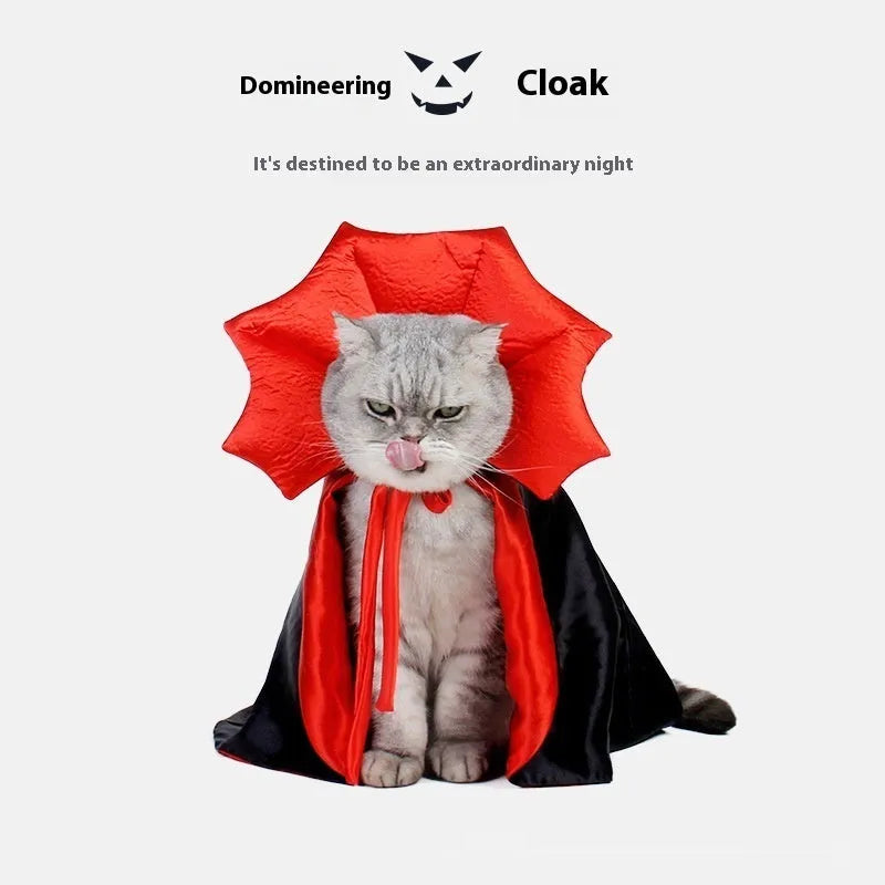Black and red Halloween costume for a cat or small dog on a mannequin