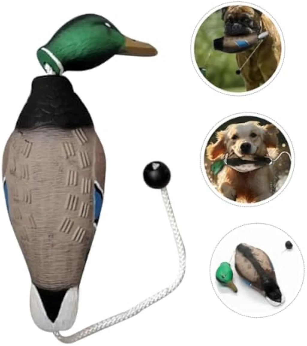 Green EVA duck dog toy with no stuffing and quacking sound, 35cm long, on white background