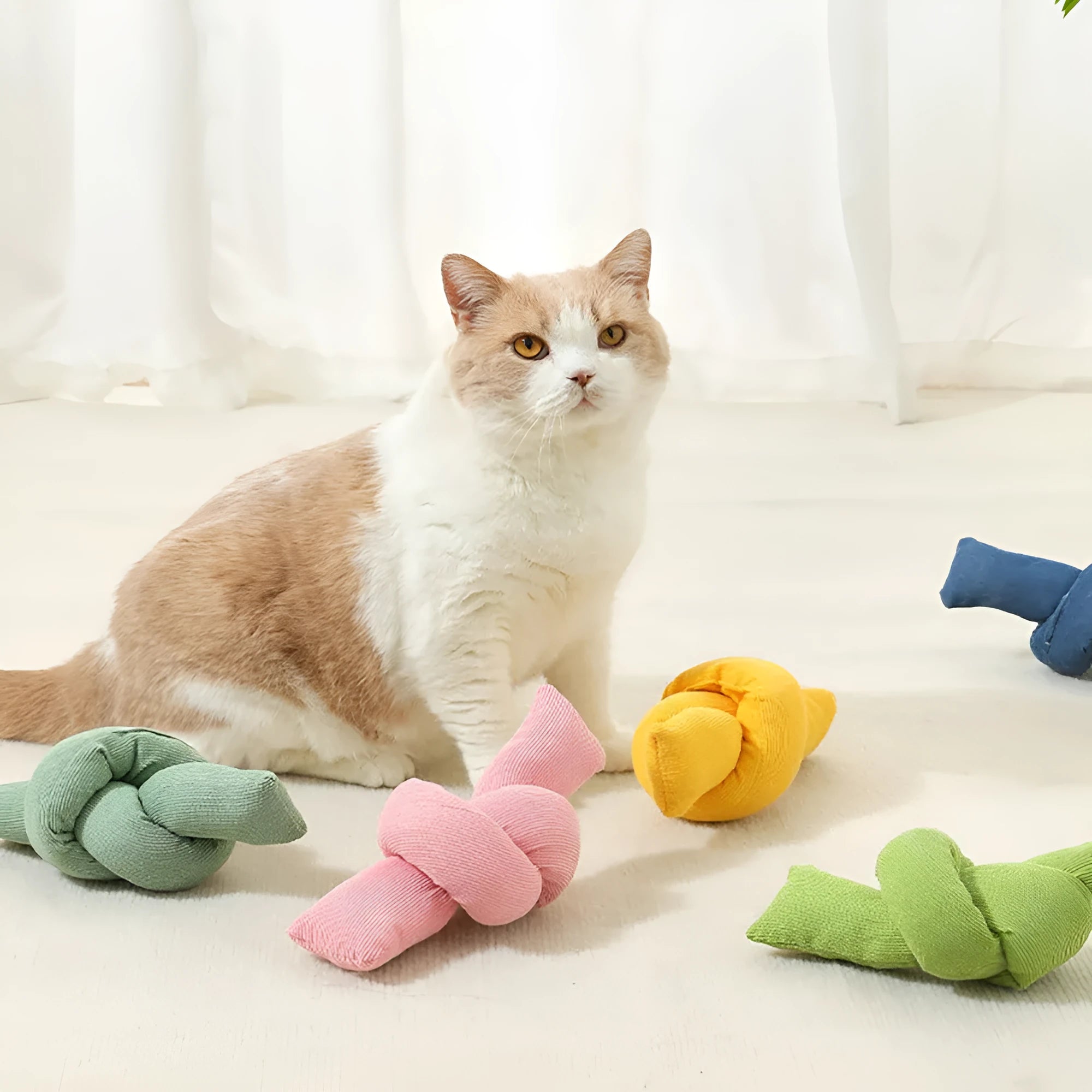 White knotted cotton dog rope toy for tug of war and chewing.