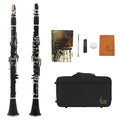 Black Bakelite beginner clarinet with 17 nickel-plated keys and a carrying bag.