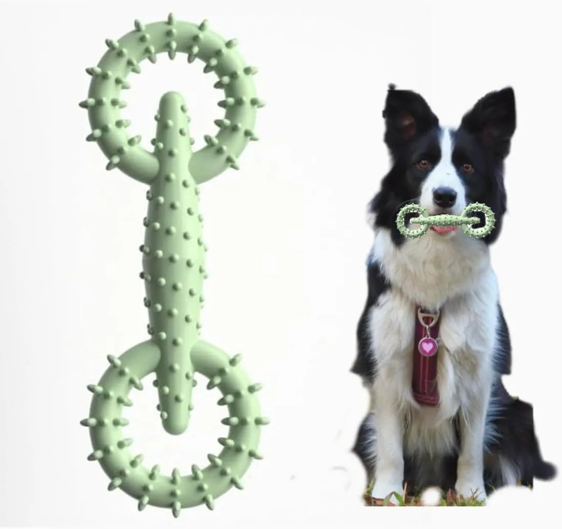 Blue TPR dog chew toy ring measuring 16cm for teething puppies and dogs