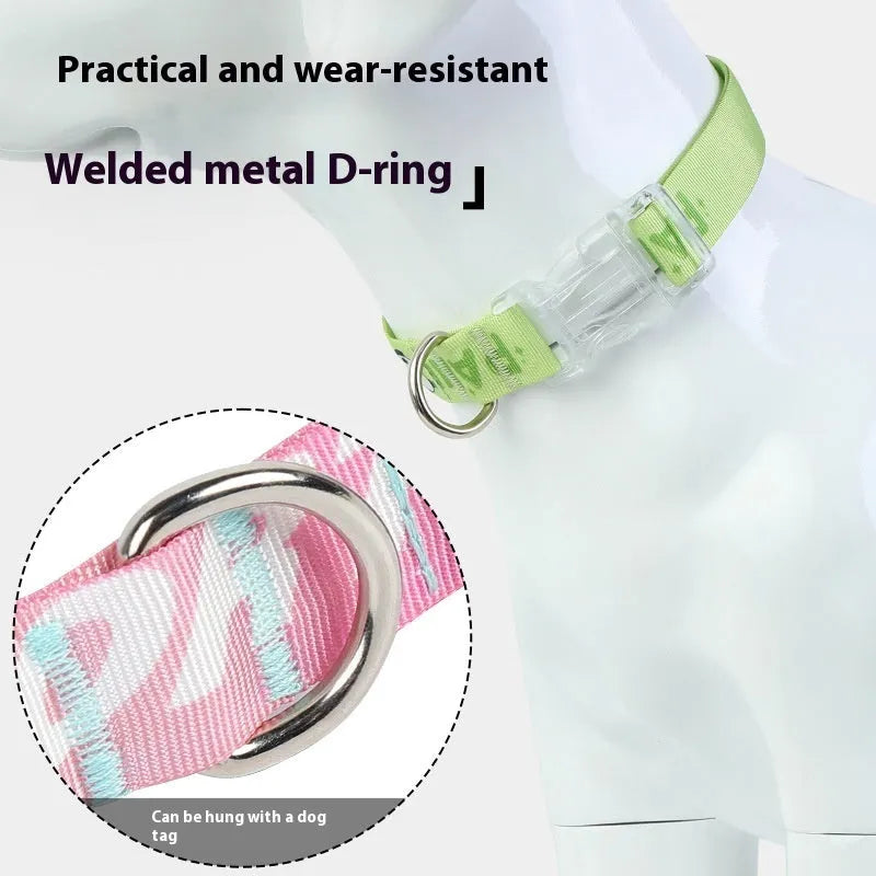 Adjustable nylon dog collar with cartoon gradient printing in small, medium, and large sizes