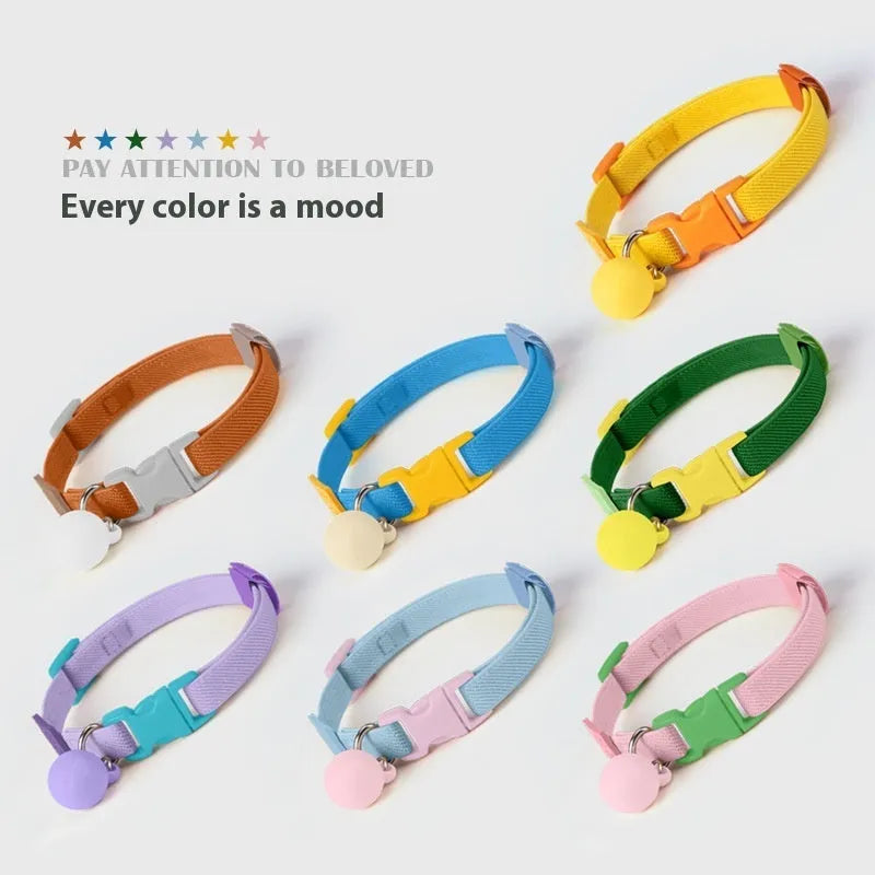 A small dog collar made from high elasticity polyester in an adjustable size, shown in one of seven available colours.